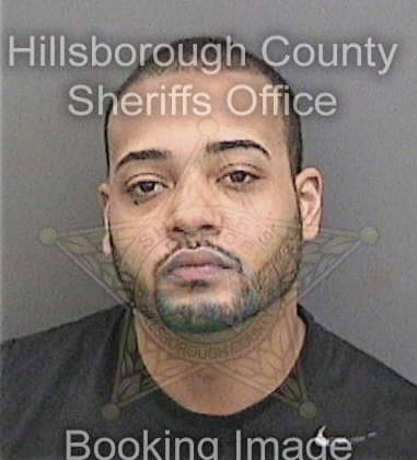 Michael Francis, - Hillsborough County, FL 