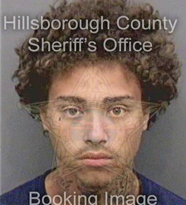 Reginald Lewis, - Hillsborough County, FL 