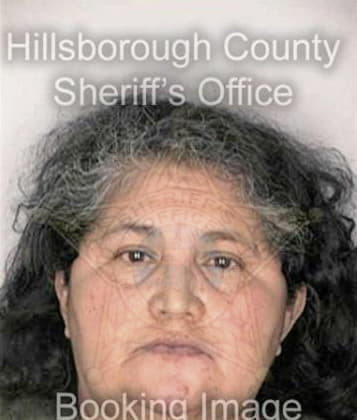 Darlene Pineda, - Hillsborough County, FL 