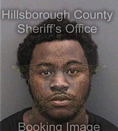 Aviell Thomas, - Hillsborough County, FL 