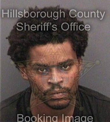 Nicholas Williams, - Hillsborough County, FL 