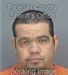 Lazaro Capote, - Pinellas County, FL 