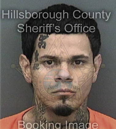 Christopher Griffith, - Hillsborough County, FL 