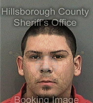 Theodore McGill - Hillsborough County, FL 