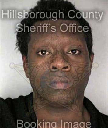 Jean Mehu - Hillsborough County, FL 