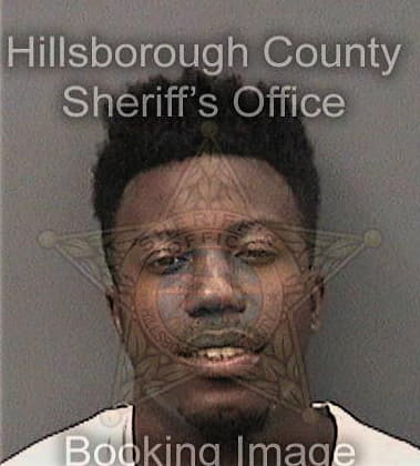 Hassan Patterson, - Hillsborough County, FL 