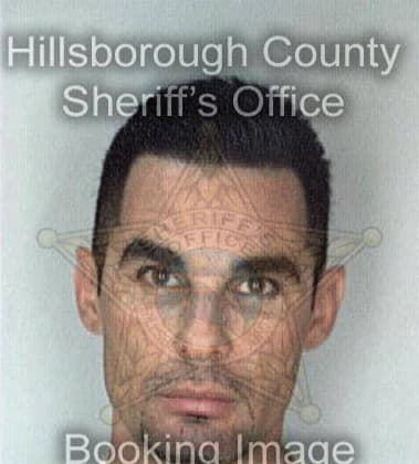 Pedro Romeroguevara, - Hillsborough County, FL 