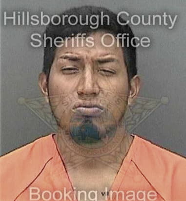 Hiram Brooks, - Hillsborough County, FL 