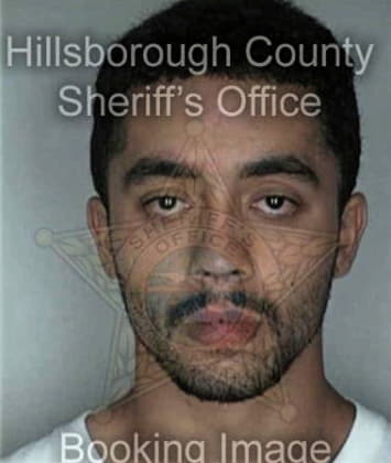 Gediminas Matulis - Hillsborough County, FL 