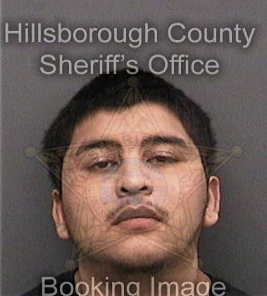 Terry McIver - Hillsborough County, FL 