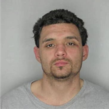 Robert Medley - Hillsborough County, FL 