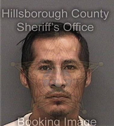 David Sampson, - Hillsborough County, FL 