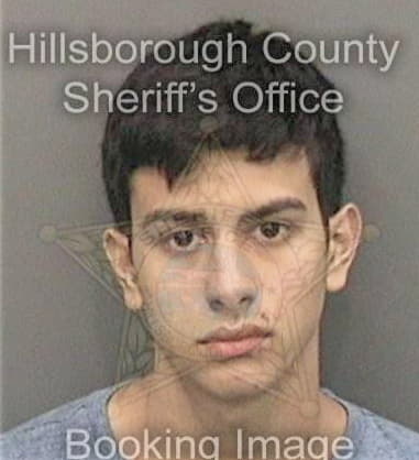 Christopher Seng, - Hillsborough County, FL 