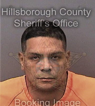 Matthew Shinall-Robinson, - Hillsborough County, FL 