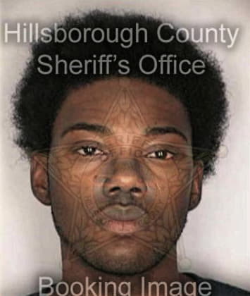 Earvin Williamson, - Hillsborough County, FL 