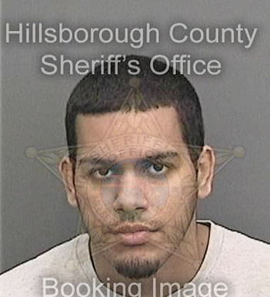 Clinton Wilson, - Hillsborough County, FL 