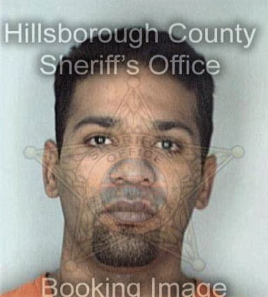 Justin Alvarez, - Hillsborough County, FL 