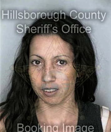 Nichole Binegar - Hillsborough County, FL 