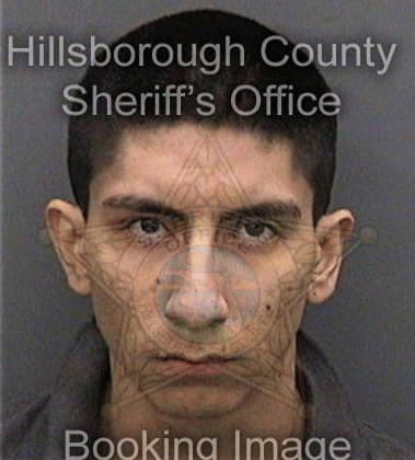 Anthony Ferullo, - Hillsborough County, FL 