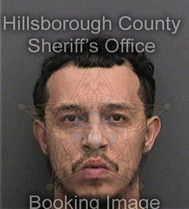 Jaime Guerraaguilera, - Hillsborough County, FL 