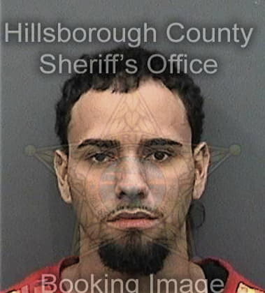 Edwin Mercado - Hillsborough County, FL 