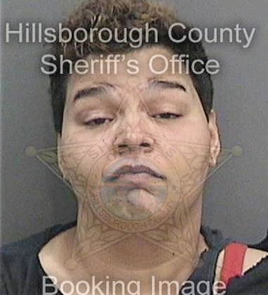 Amanda Meservy - Hillsborough County, FL 