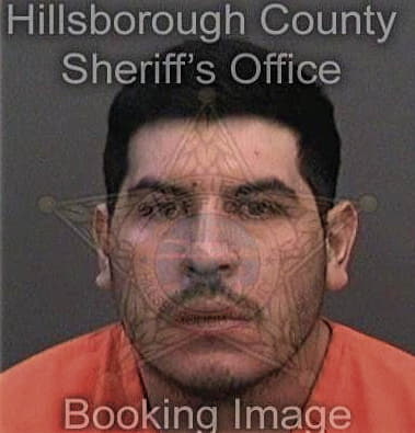 Sergio Olivia, - Hillsborough County, FL 