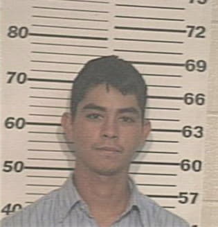 Alexandro Ortega, - Hidalgo County, TX 