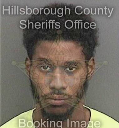 Javonn Tice, - Hillsborough County, FL 