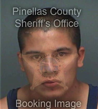 Ronny Torresmoreno, - Pinellas County, FL 