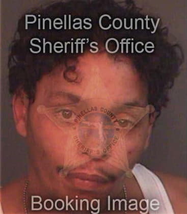 Jose Alemanvasquez, - Pinellas County, FL 