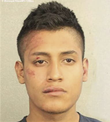 Mario Almodovar, - Broward County, FL 