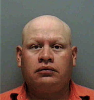 Mauricio Araya-Navarro, - Lee County, FL 