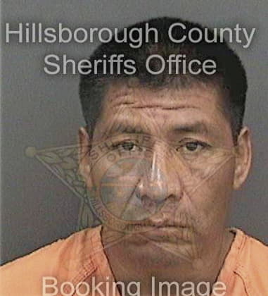 Kumar Behamy, - Hillsborough County, FL 