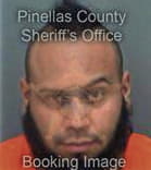 Daniel Dipascale, - Pinellas County, FL 