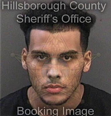 Joseph Gleeson, - Hillsborough County, FL 