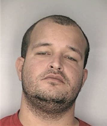 Javier Hernandezwong - Hillsborough County, FL 
