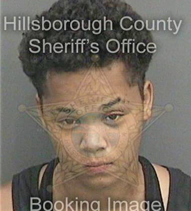 Anesha Robinson - Hillsborough County, FL 