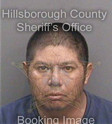 Alexander Arochadiaz, - Hillsborough County, FL 