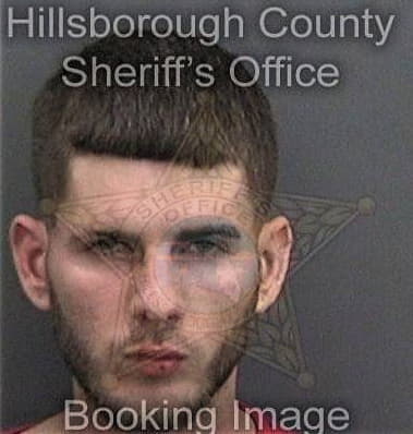 Micheal Arreguin, - Hillsborough County, FL 