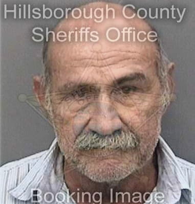 Bueno Benustiano, - Hillsborough County, FL 