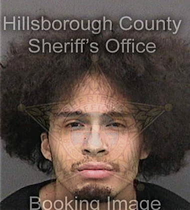 Justin Hull, - Hillsborough County, FL 