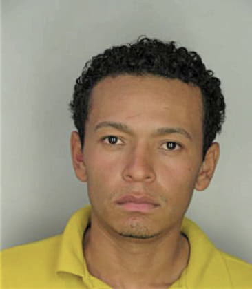 Arnold McGuire - Hillsborough County, FL 