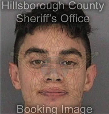 Alexander McTeague - Hillsborough County, FL 
