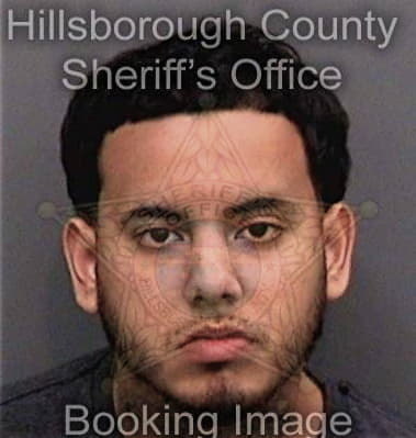 Daniel Negron, - Hillsborough County, FL 