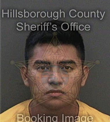 Matthew Alfonso, - Hillsborough County, FL 