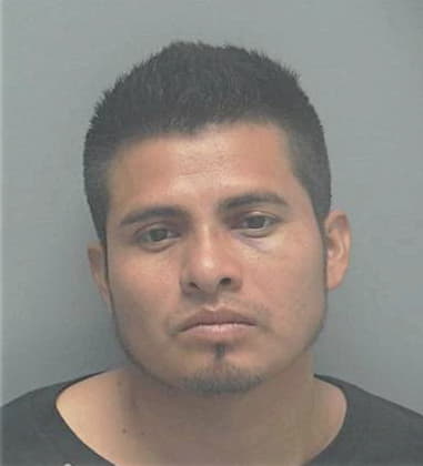 Juan Badillo-Mejia, - Lee County, FL 