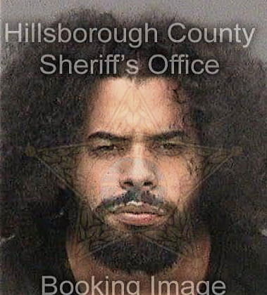 Dairo Cabreramartinez, - Hillsborough County, FL 