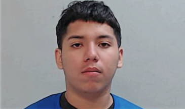 Alfredo Castillo, - Hidalgo County, TX 