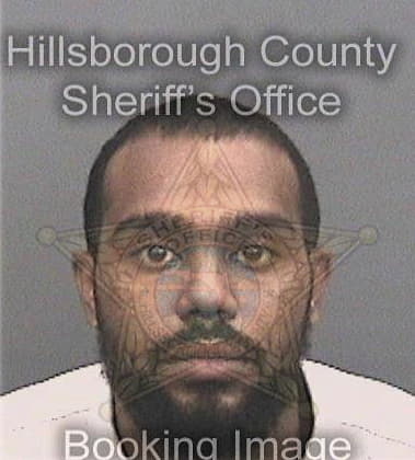 Shaver Clemons - Hillsborough County, FL 
